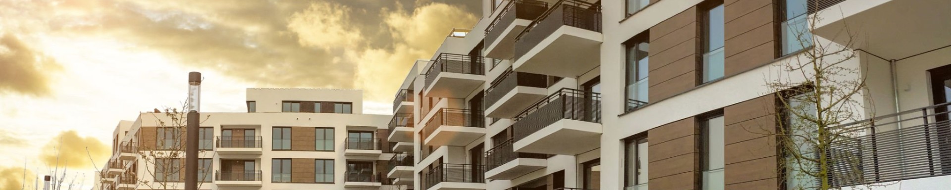 Promoteurs et Agences